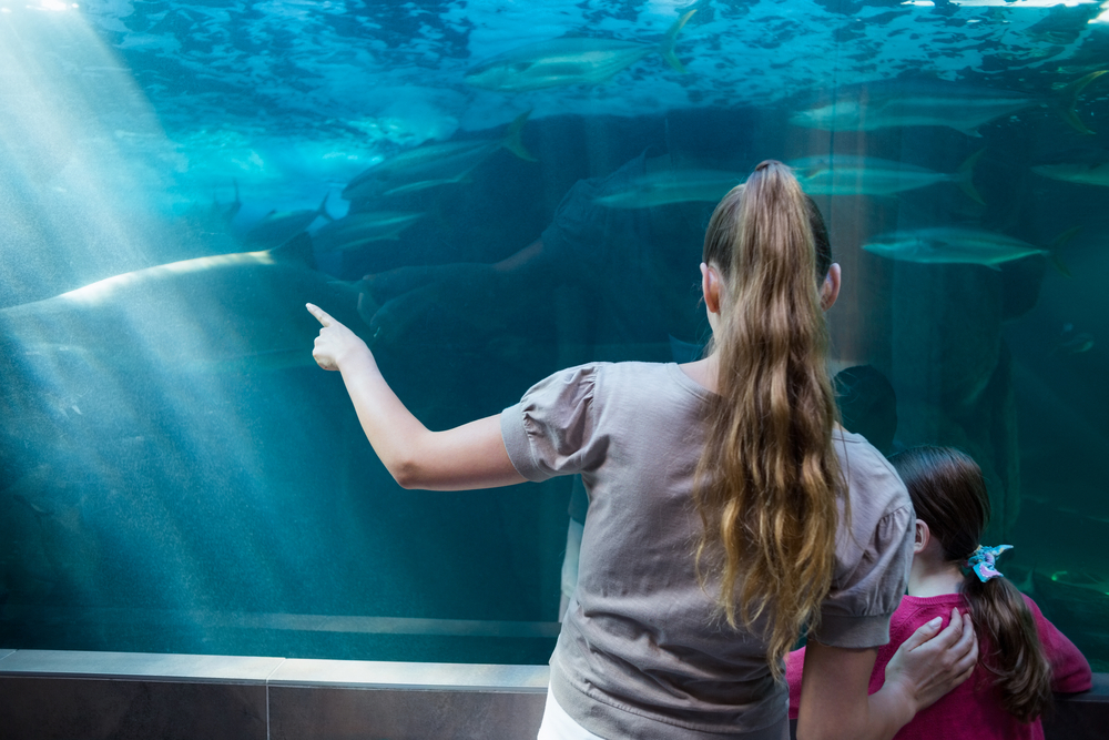 at the aquarium